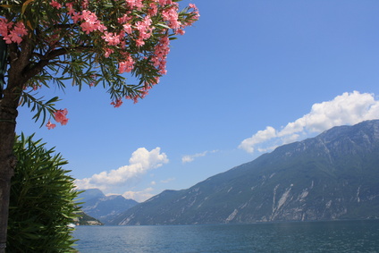 Gardasee Bild: © silentforce Reise zum Gardasee